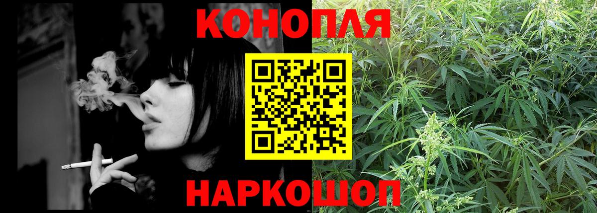 Новотроицк  Конопля индика  Вход с VPN  Конопля White Widow 